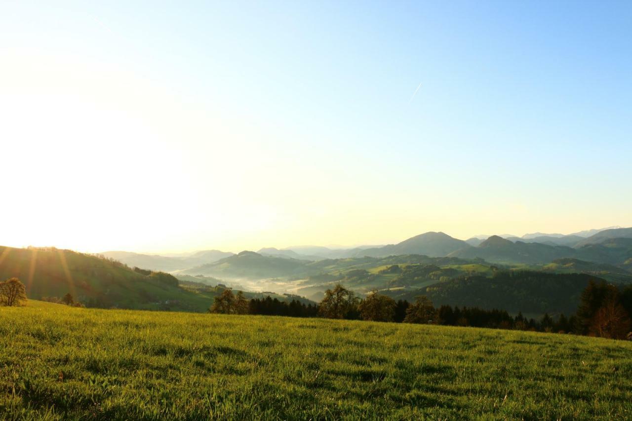 伊布斯河畔魏德霍芬Miniponyhof Biohof Almbauer公寓 外观 照片